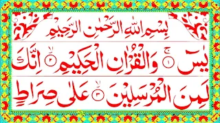 Surah Yaseen | Yasin Sharif | Surah Yaseen With Arabic HD text | Surah Yaseen | Episode 14