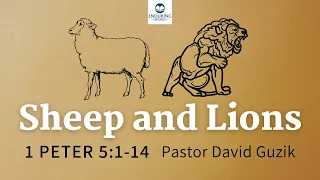 Sheep and Lions - 1 Peter 5:1-14