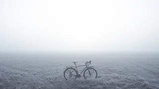 Gravel Bike #59 - Author Ronin - Silent Hill - Cycling in Fog - Samoyed - Ёжик в тумане -5°C