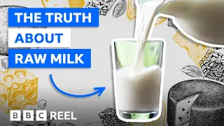 Why raw milk is banned in the US – BBC REEL