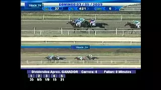 BAMBERA - Gran Premio Unicría Hembras 2009