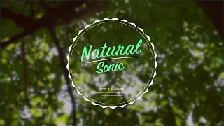 NaturalSonic 「healing forest」