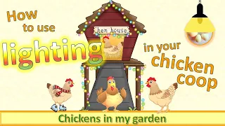 How to use Lighting in your chicken coop to get eggs in winter