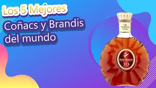 Los 5 Mejores Coñacs y Brandis del mundo