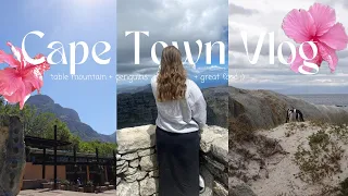 Cape Town Vlog :)