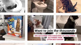 How To: Train Your Cat to Use the Toilet with CitiKitty