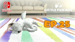 LITTLE FRIENDS: Dogs & Cats - Delusione | EP.25 [ITA]