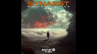 Synaest - Wandering Mind