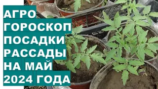 Агрогороскоп посадки рассады в мае 2024 годаAgrohoroscope for planting seedlings for May 2024