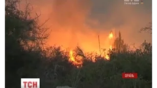 Вогнеборцям п’ятий день не вдається приборкати полум`я в Ізраїлі