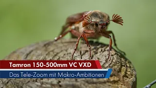 Tamron 150-500 mm Di III VC VXD | Tele-Zoom-Objektiv mit Makrofähigkeiten im Test [Deutsch]