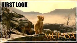 First Look At Mufasa : The Lion King! I NEWS I Filmtastic