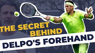 Analyzing Juan Martin's Del Potro Powerful Forehand