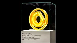 USAI & Crusy ft. Max Landry - Hypnotize (Roy Orion Remix) [FREE DOWNLOAD]