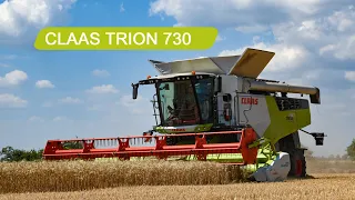 CLAAS TRION 730