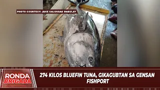 274 kilos bluefin tuna, gikagubtan sa GenSan fishport