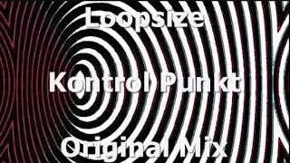 Loopsize - Kontrol Punkt (Original Mix)