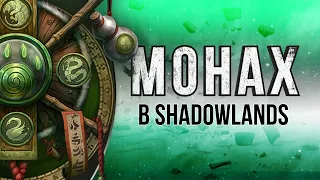 Монах в Shadowlands. Изменения в отрицательной динамике.