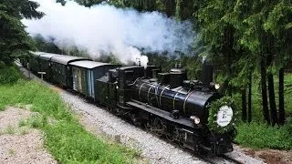 Waldviertel Schmalspurbahn Mh1 Sonderzug "Schrammel Klang Express 2013"