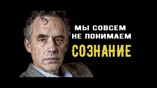 Взгляд Джордана Питерсона на сознание