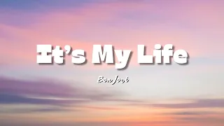 Bon Jovi - It's My Life (Lyrics)