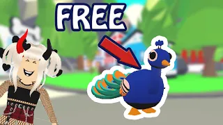 How To Get  A Free Peacock Pet In Adopt Me | GIVEAWAY