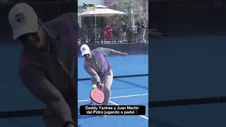 Daddy Yankee y Juan Martin del Potro jugando a padel🔝 #padel #tennis #daddyyankee #padeldeoroyt