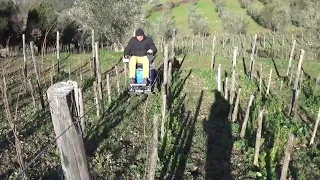 QREA - Trattore cingolato elettrico per vigneto HT 20.20 E