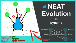 Evolution simulation using NEAT and pygame