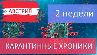 Карантинные хроники: 2 недели взаперти | Австрия