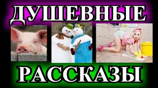 ДУШЕВНЫЕ И ОПТИМИСТИЧЕСКИЕ    РАССКАЗЫ❤️СНЕГОВИХА❤️ЛЮСЯ❤️У РОМАНА ГРУСТНЫЕ ГЛАЗА @TEFI РАССКАЗЫ