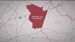 Gwinnett County Judge decides City of Mulberry Referendum can remain on primary ballot