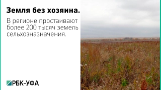 В Башкортостане около 200 тыс. гектаров сельхозземель не используются