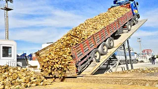 Extreme Dangerous Modern Dump Truck Operator Skills Fastest Asphalt Paving Heavy Equipment Machines🚨