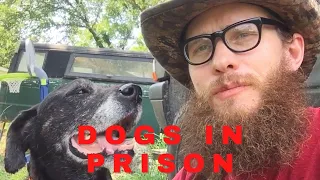 Dogs In Prison: The Dog Program in El Dorado