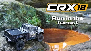 NEW : Hobbytech CRX18 - 1/18ème scale RC