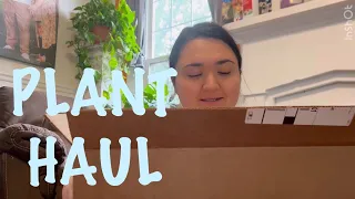 Planty Haul!! Check out my new plants