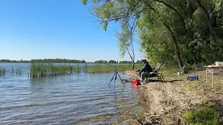 🐟🐟🐟 НАТОРБИЛИ ВЕСЕННИХ ЛЯЩЕЙ! / ЧЕРНЫЙ ЛЕС / ПЕЧЕНЕГИ 🐟🐟🐟