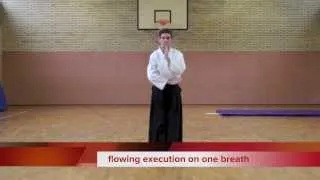 5/7 Kokyu Kata Gohshinkan Ryu Examination Part 5 of 7 for the 5th Kyu