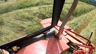 Farm Vlog #164 Funktion Mähwerk | 1. Schnitt Heu | Mechanische Unkrautbekämpfung | IHC im Einsatz !