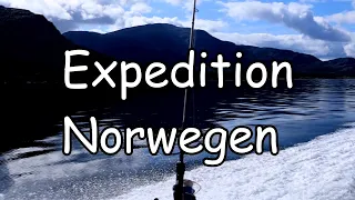 Monsterfische aus dem Meer | Expedition Norwegen