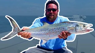 How to Catch Spanish Mackerel (Spanish Mackerel Fishing)