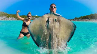 MASSIVE STINGRAY!!! {Catch Clean Cook} Authentic Philippine Recipe