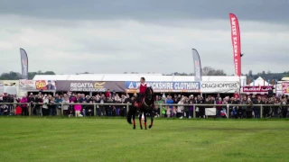 Free Spirits -Thame Country Fair