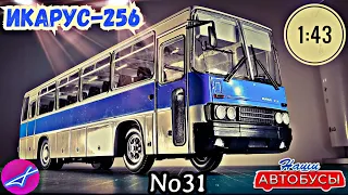 Перезалив с дополнением! Икарус-256 1:43 Наши автобусы No31 / Modimio Ikarus