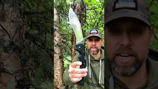 TOP 3 Reasons to carry XL Knife Alaska  #alaska  #shorts #guns #gunchannels #knife #10mm #survival