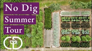 No Dig in High Summer, Charles takes you around Homeacres' old and new beds