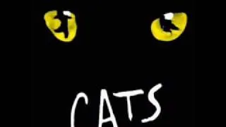 Cats live in Cologne - Macavity