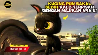 PETUALANGAN KUCING HITAM YANG TERPISAH DENGAN PEMILIKNYA | ALUR CERITA KARTUN " RODOLF 2016