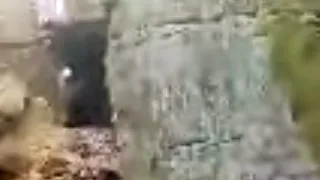 Bigfoot Caught On Camera: Caves and Underground Confirmed...See Description #share